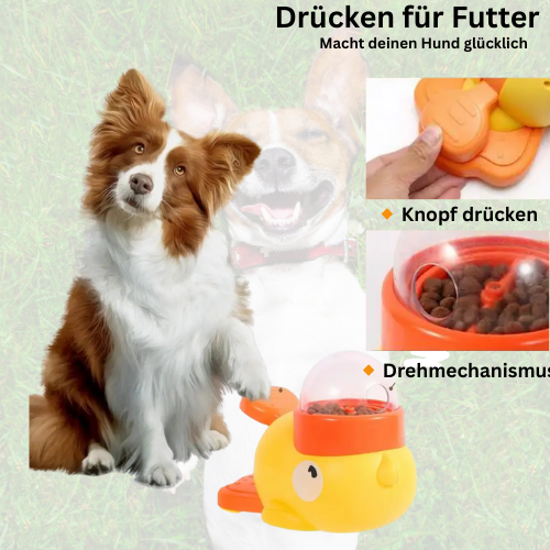 QuackSnack